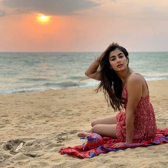 22 Natural Puja Hedges Without Makeup Pictures