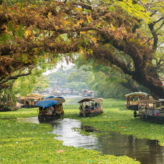 6 Honeymoon Spots for Newlyweds in Kerala