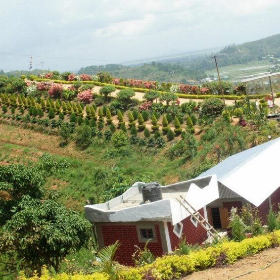 9 Must-Visit Honeymoon Spots in Manipur