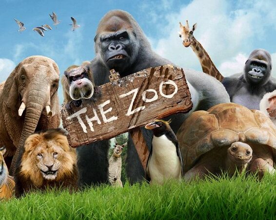 Everything you need to know about the top 10 zoos in India