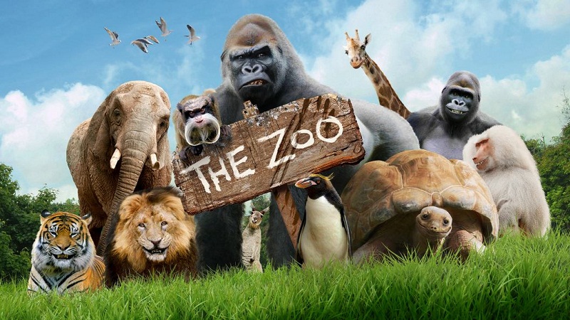 Everything you need to know about the top 10 zoos in India