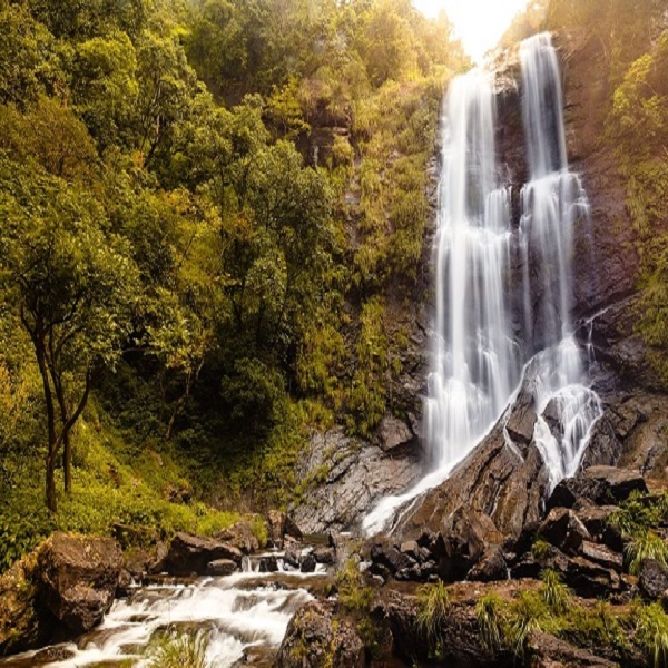 Top 20 Waterfalls in India to See and Experience