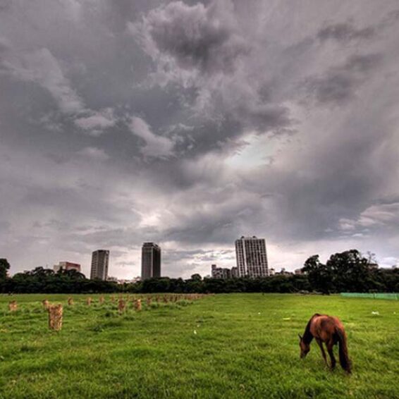 10 Famous Parks and Pictures in Kolkata