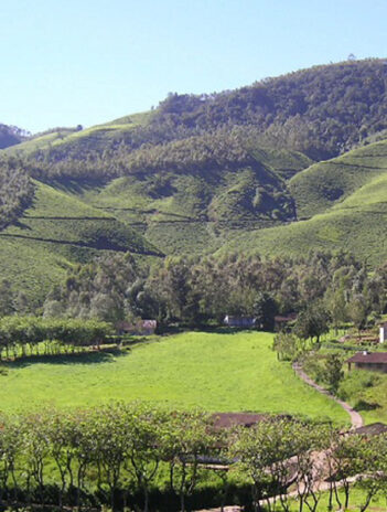 15 Famous Munnar Tourist Attractions