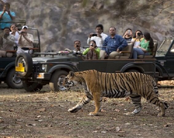 20 of India's Most Famous Wildlife Sanctuaries to Visit in 2022 Styles At Life