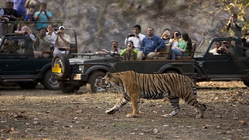 20 of India's Most Famous Wildlife Sanctuaries to Visit in 2022 Styles At Life
