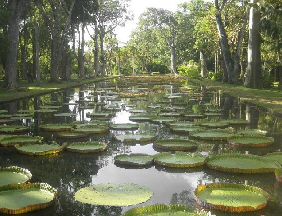 9 Best Tourist Attractions in Mauritius to Visit with Pictures