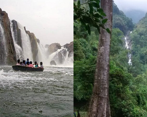 9 Best Waterfalls You Must See When Visiting Tamil Nadu