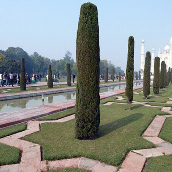 9 famous parks in Agra with pictures