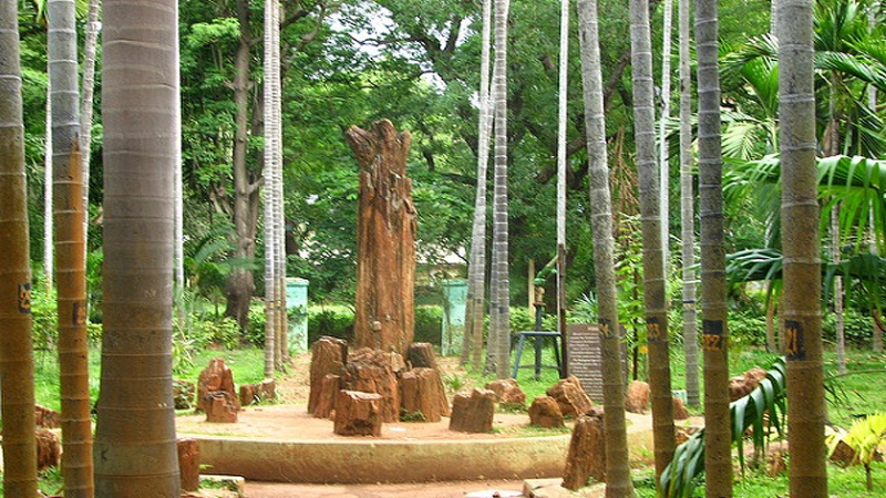 Pictures of Pondicherry's famous park